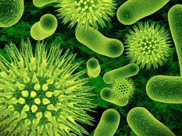 انفلوئنزا اے کے کیسز میں تیزی سے اضافہ، کیسے بچا جائے؟