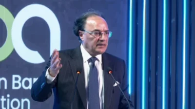 حکومت مزید 28 ریاستی اداروں کی نجکاری کے حوالے سے متحرک ہے، وزیر خزانہ