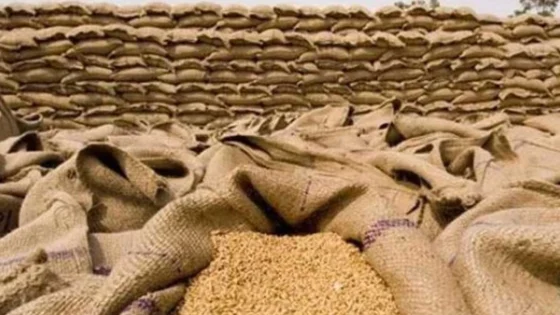 حکومت کا فوری طور پر 10 لاکھ ٹن گندم درآمد کرنے کا فیصلہ