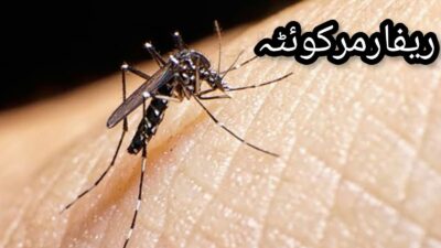 American mosquito viral
