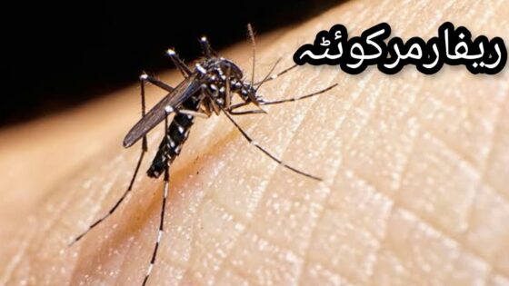 American mosquito viral