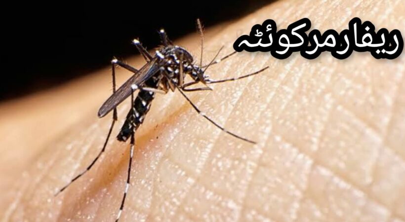 American mosquito viral