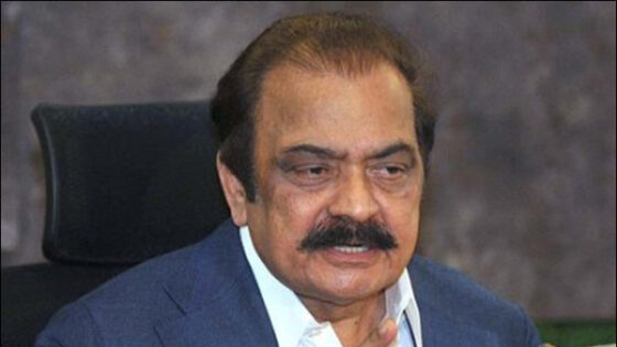 پیپلز پارٹی نے کالعدم ایکشن کمیٹی کے ساتھ مل کر مظفر آباد میں چوک پر ہنگامہ کروایا، رانا ثنا